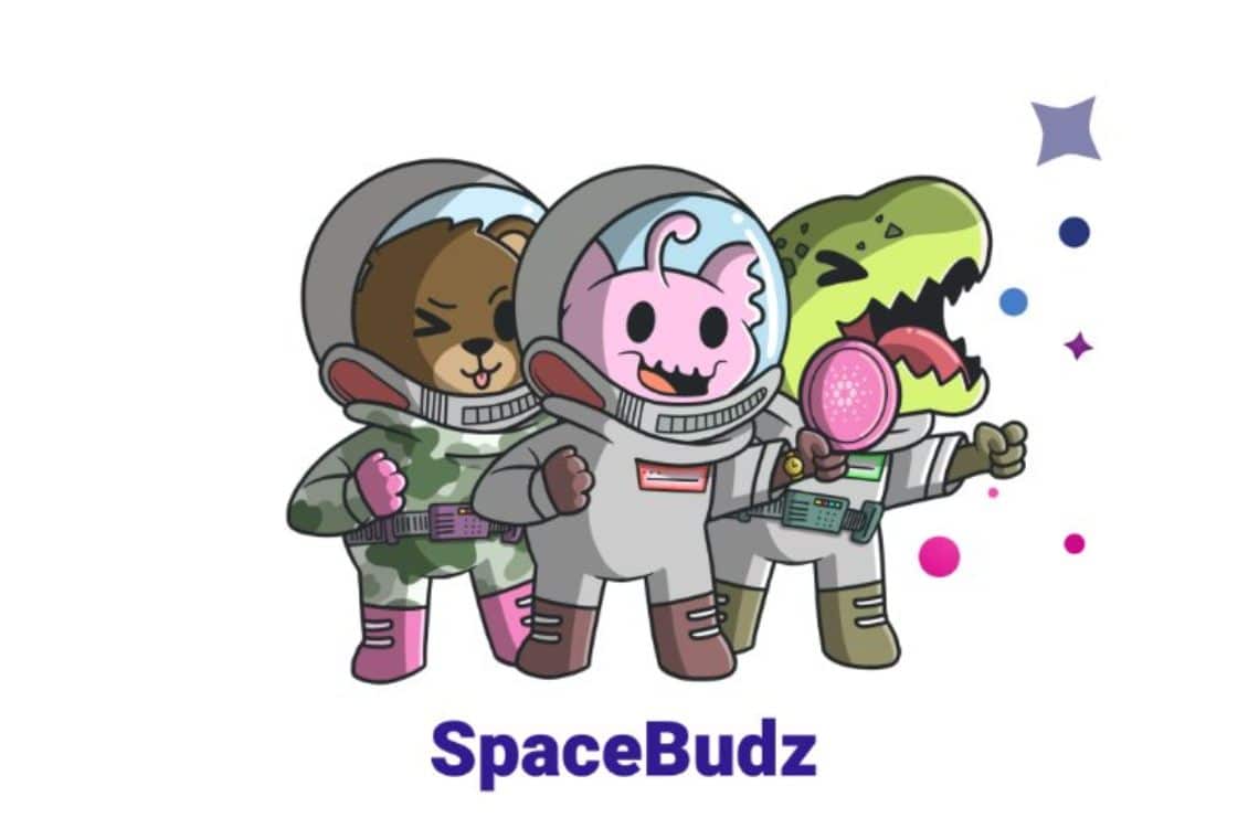 Spacebudz